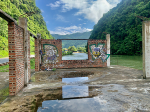 Nature Through the Window
