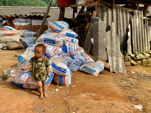 No One Will Touch These Bags