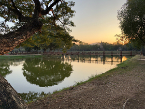 Perfect Tree Reflection During Sunset