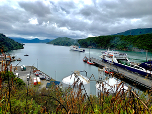 Pictons Ferry New Zealand