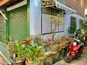 Plants on the Corner