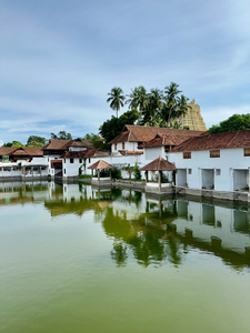 Reflections in Front of Sree Padmanabhaswamy Temple