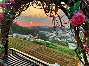 Ring of Roses for Sunset