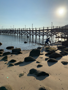 Rock Throwing by the Bamboo Bridge