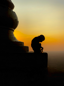 Meditative Monkey at Sunset