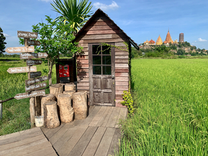 Shack in front of the Temple