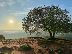 Sunrise on Top of Sigiriya Sri Lanka 12