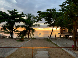 Sunset Between the Palm Trees