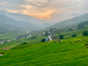 Sunset Over Sapa Rice Field