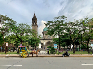 The Manila Cathedral