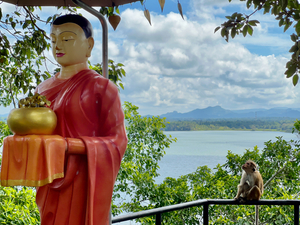 The Monkey and the Monk