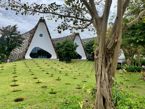 Triangle Shaped Coffee Museum