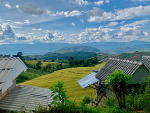Village in the Rice Fields