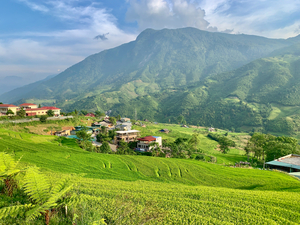 Village in the Rice Fields Sapa