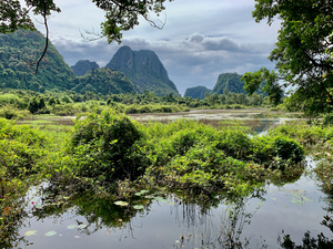 Wetland and Mountains