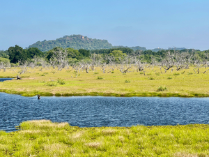 Yala National Park Sri Lanka
