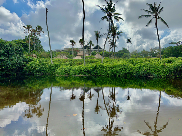 Bali Reflections Print