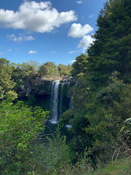 Kerikeri Falls New Zealand Print