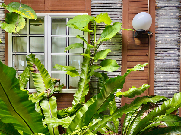 Maboul Island 19 Print