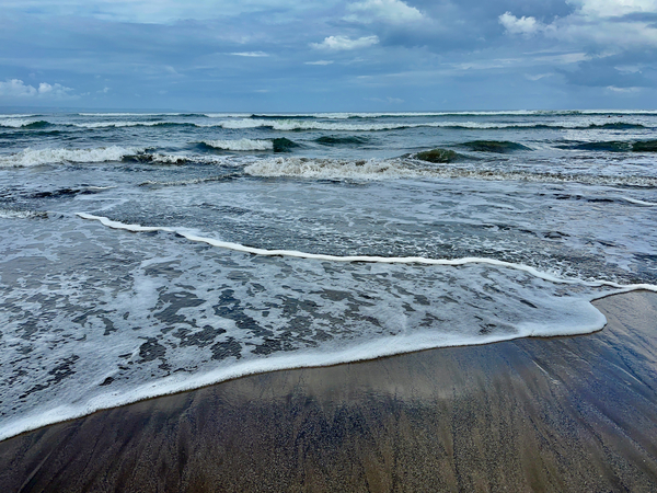 Ocean Patterns Print