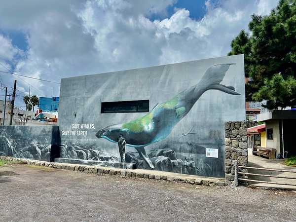 Seogwipo Jeju South Korea 2 Print