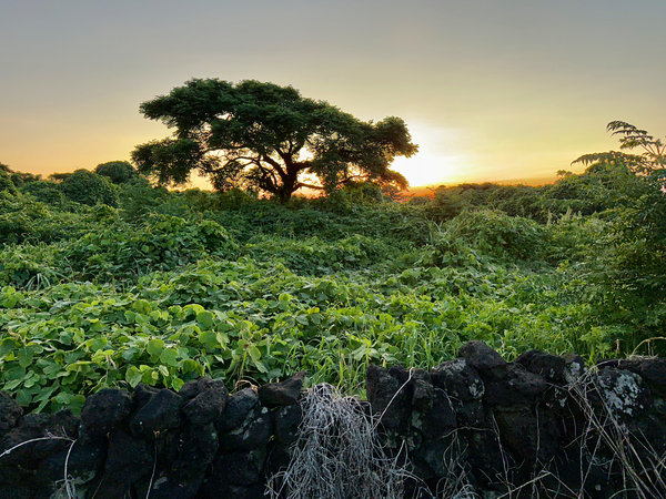 The Sunset Behind Jeju South Korea Print