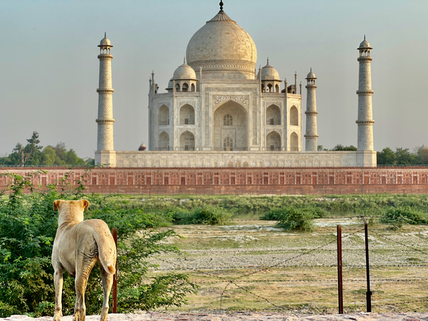 The Taj Mahal Collection 9 Print