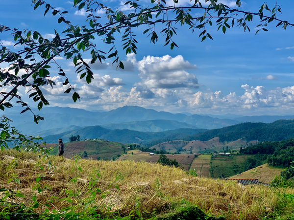 Amazing Landscape Print