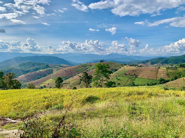 Amazing Landscape 2 Print