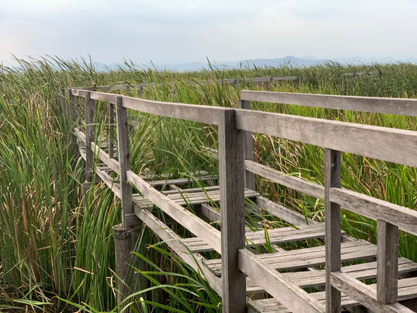 At Your Own Risks Print