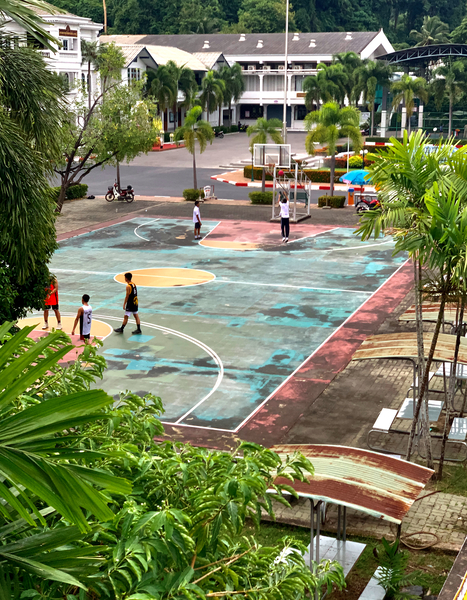 Basketball Court Print