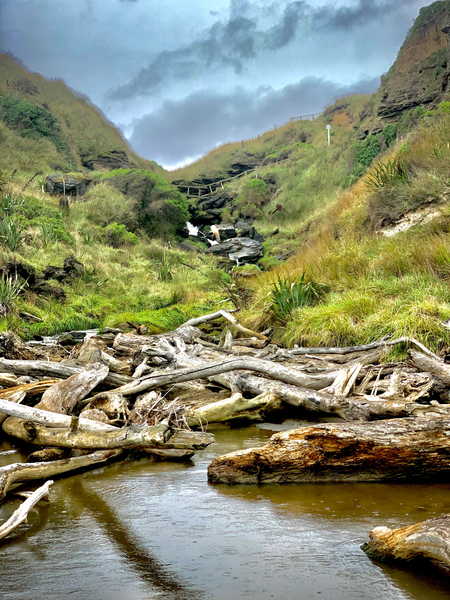 Beautiful Nature Print