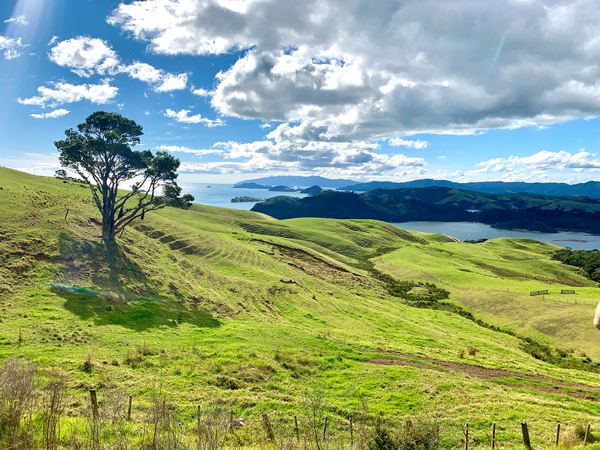 Beautiful Scenery Print