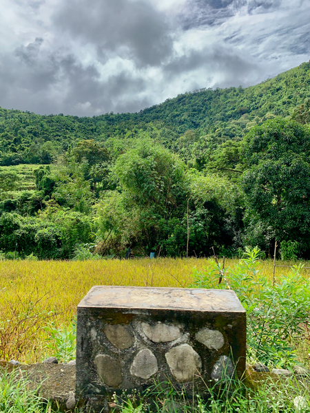 Block on Nature Print