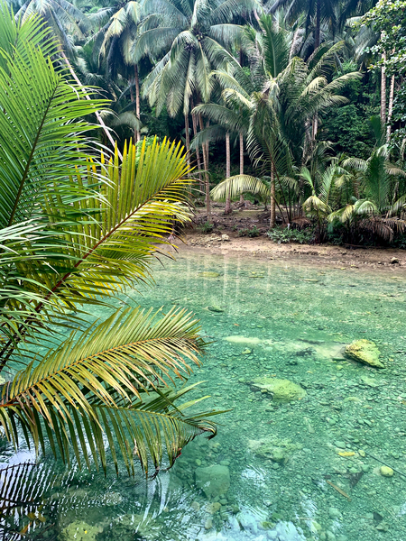 Blue Water in the Jungle Print