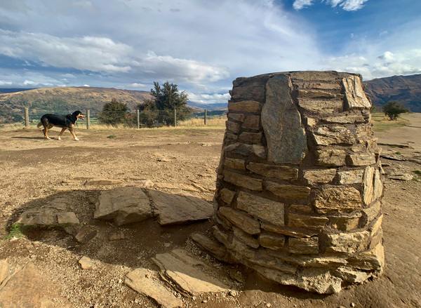 Dog on the Top of Mount Iron New Zealand Print