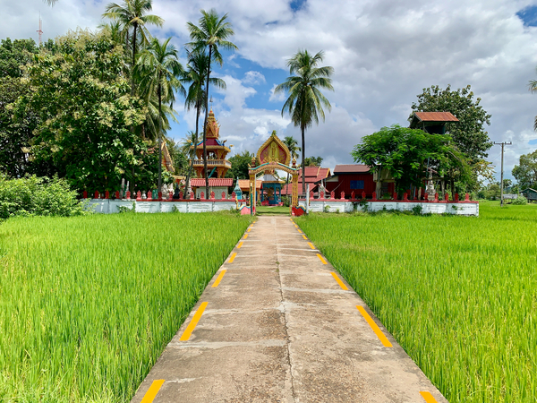 Don Khon Island Temple Laos Print