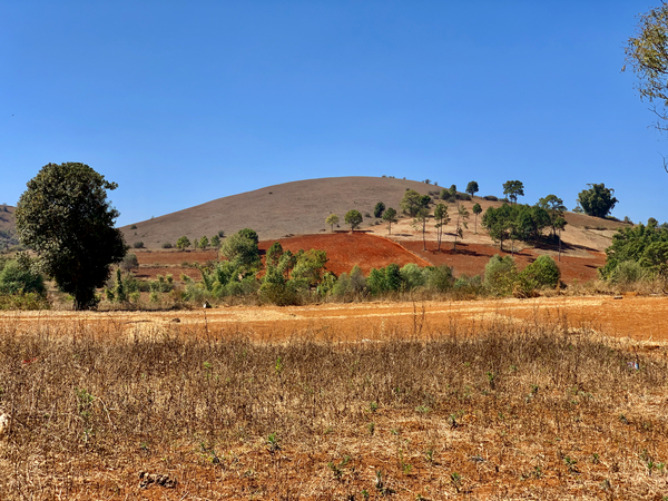 Earth Tones Hill Print