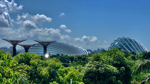 Gardens by the Bay Singapore 1 Print