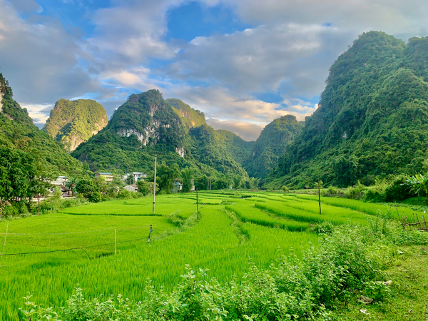 Green Mountains Print