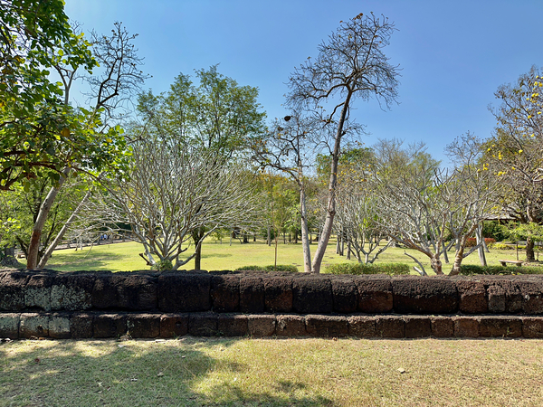 Half Wall Protection Print