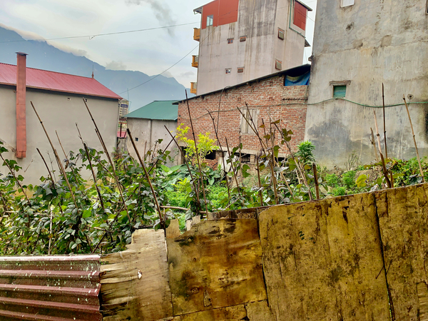 Homemade Fence Print