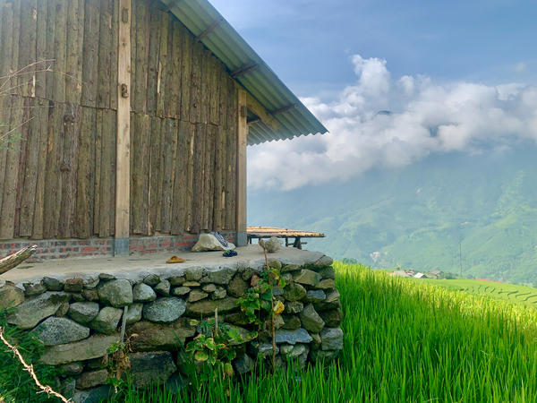 House in the Rice Fields Print