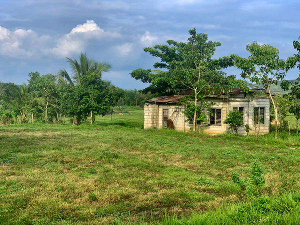 House on the Farm in the Philippines 2 Print