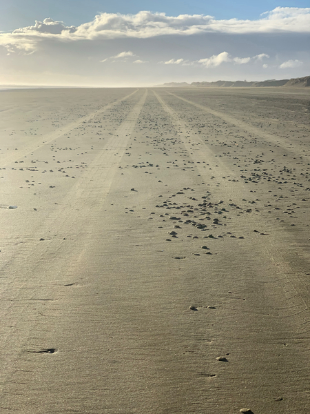 Infinite Sandy Beach Print