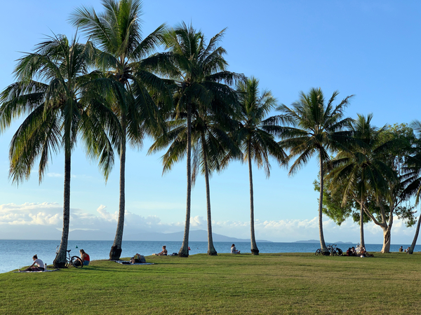 Let s Chill Under the Palm Trees Print