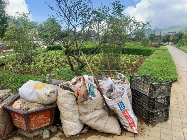 Lets Clean the Park Print