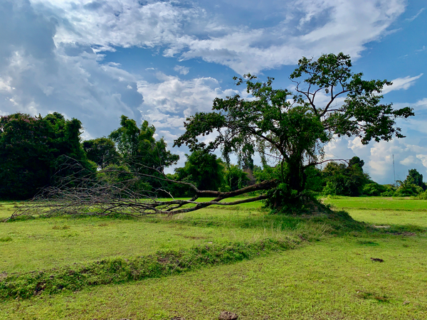Life  and Death Print
