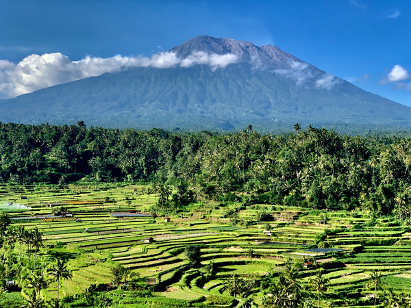 Mount Agung with Rice Fields Bali Print