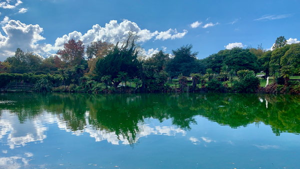 Nature s Own Reflection Print